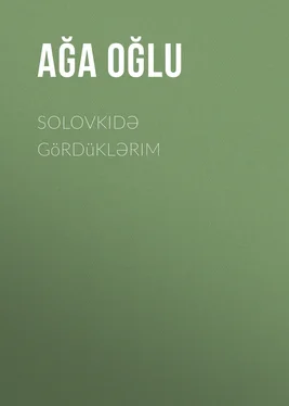 Ağa oğlu Solovkidə gördüklərim обложка книги