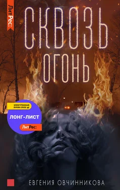 Евгения Овчинникова Сквозь огонь обложка книги