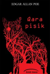 Edqar Alan Po - Qara pişik