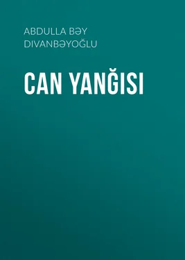 Abdulla Divanbəyoğlu Can yanğısı обложка книги