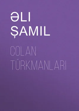 Əli Şamil Colan Türkmanları обложка книги