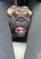 Александр Осипов - Игра чувств