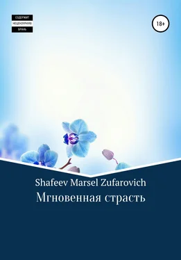 Марсель Шафеев Мгновенная страсть обложка книги