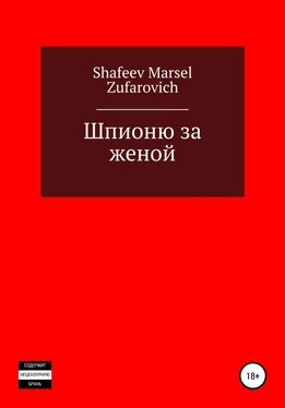 Марсель Шафеев Шпионю за женой обложка книги