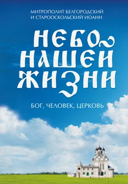 Array Митрополит Белгородский и Небо нашей жизни. Бог, человек, церковь обложка книги