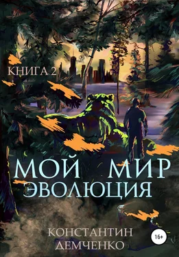 Константин Демченко Мой мир. Эволюция. Книга 2 обложка книги