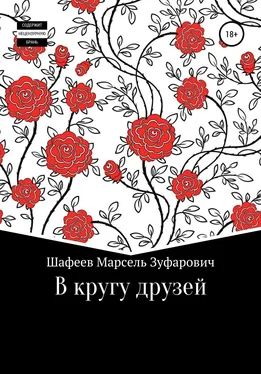 Марсель Шафеев В кругу друзей обложка книги