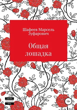 Марсель Шафеев Общая лошадка обложка книги