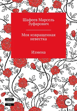 Марсель Шафеев Моя извращенная невестка обложка книги