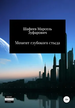 Марсель Шафеев Момент глубокого стыда обложка книги