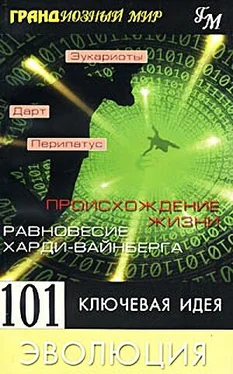 Мортон Дженкинс 101 ключевая идея. Эволюция обложка книги