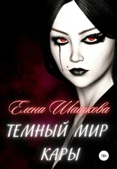 Елена Шашкова - Темный мир Кары