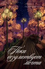 Сборник - Пока безумствует мечта