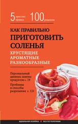 Элга Боровская - Как правильно приготовить соленья. 5 простых правил и более 100 рецептов