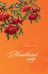 Сборник - Мгновений след