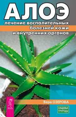 Вера Озерова Алоэ: лечение воспалительных болезней кожи и внутренних органов обложка книги