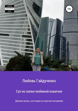 Любовь Гайдученко Суп из лапки любимой кошечки обложка книги