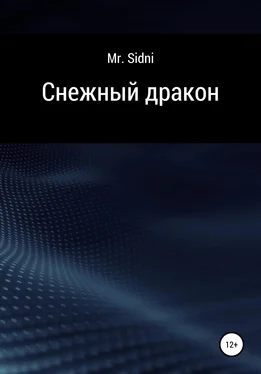 Mr. Sidni Снежный Дракон обложка книги