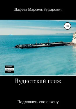Марсель Шафеев Нудистский пляж обложка книги