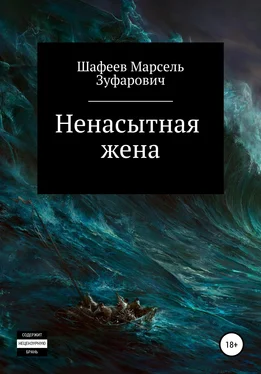 Марсель Шафеев Ненасытная жена обложка книги