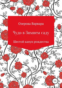 Варвара Озерова Чудо в Зимнем саду обложка книги