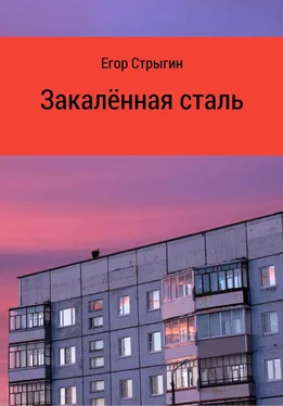 Егор Стрыгин Закалённая сталь обложка книги