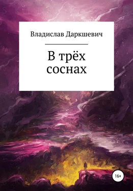 Владислав Даркшевич В трёх соснах обложка книги