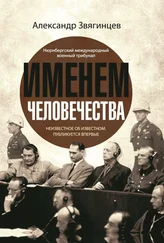 Александр Звягинцев - Именем человечества