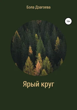 Бэла Дзагоева Ярый круг обложка книги