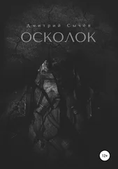 Дмитрий Сычёв - Осколок