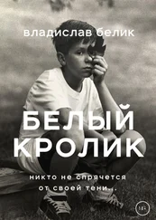 Владислав Белик - Белый кролик
