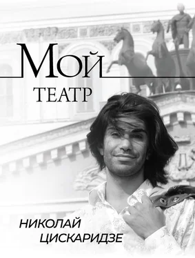 Николай Цискаридзе Мой театр. По страницам дневника. Книга I обложка книги