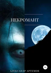 Александр Артемов - Некромант