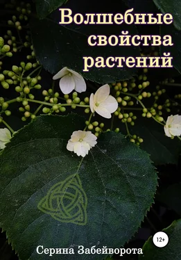 Серина Забейворота Волшебные свойства растений обложка книги