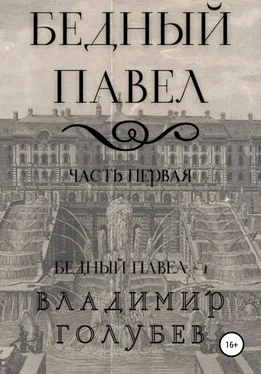 Владимир Голубев Бедный Павел. Часть первая обложка книги