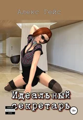 Алекс Гейс - Идеальный секретарь