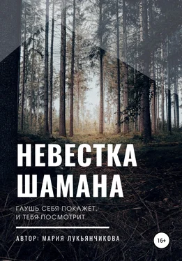 Мария Лукьянчикова Невестка шамана обложка книги