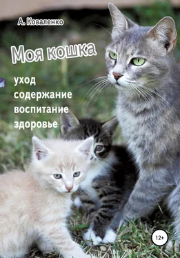 Александр Коваленко Моя кошка. Уход, содержание, воспитание, здоровье обложка книги