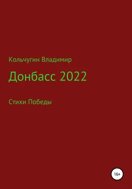Владимир Кольчугин Донбасс 2022. Стихи победы обложка книги