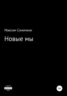 Максим Синичкин Новые мы обложка книги