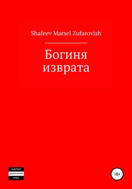 Марсель Шафеев Богиня изврата обложка книги