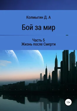 Данил Колмыгин Бой за мир. Часть 5. Жизнь после Смерти обложка книги