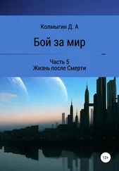 Данил Колмыгин - Бой за мир. Часть 5. Жизнь после Смерти