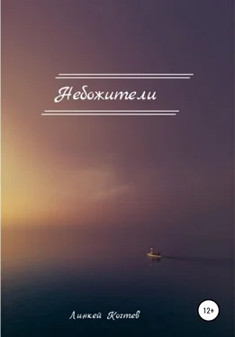 Линкей Когтев Небожители обложка книги