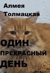 Алмея Толмацкая - Один прекрасный день
