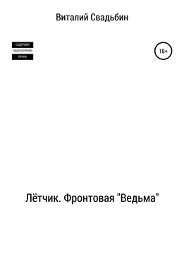 Виталий Свадьбин Лётчик. Фронтовая «Ведьма» обложка книги