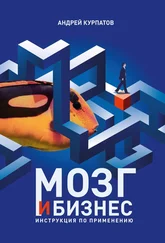 Андрей Курпатов - Мозг и бизнес