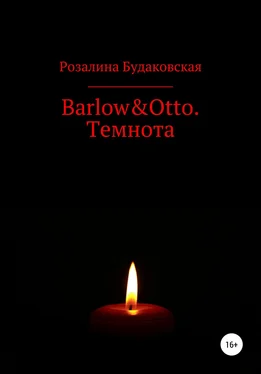 Розалина Будаковская Barlow&Otto. Темнота обложка книги