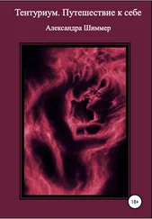 Александра Шиммер - Тентуриум. Путешествие к себе