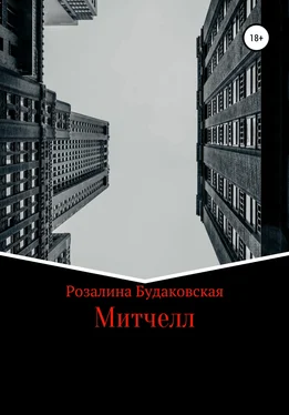 Розалина Будаковская Митчелл обложка книги